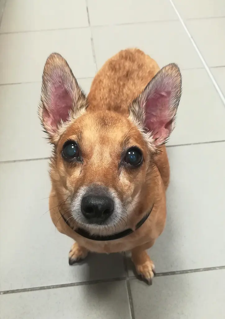 Image from Sandy 