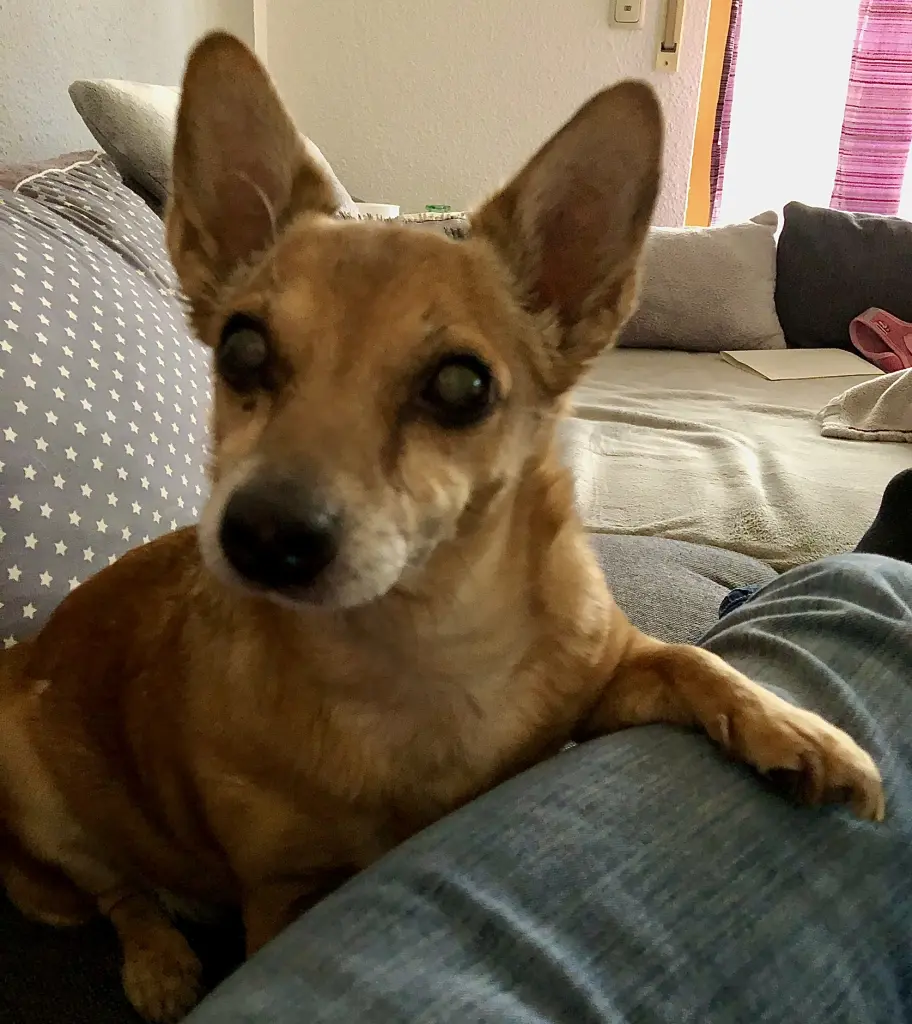 Image from Sandy 