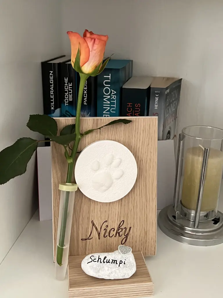 Image from Nicky