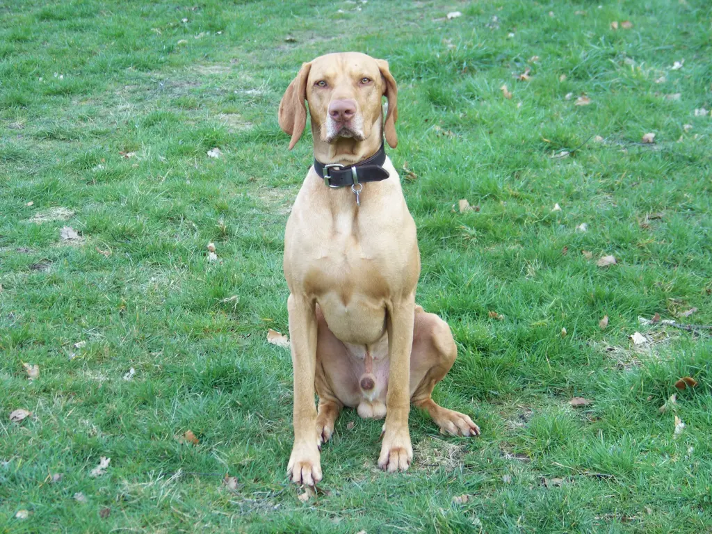 Condolence image of Norbert