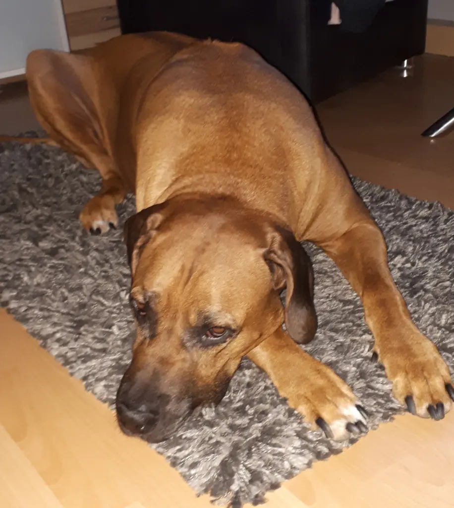 Condolence image of Unbekannt