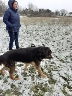 Image from Brutus