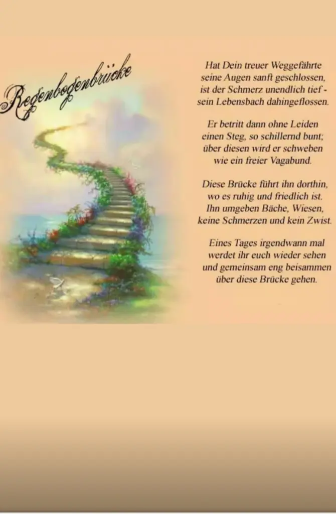 Condolence image of Sonja 