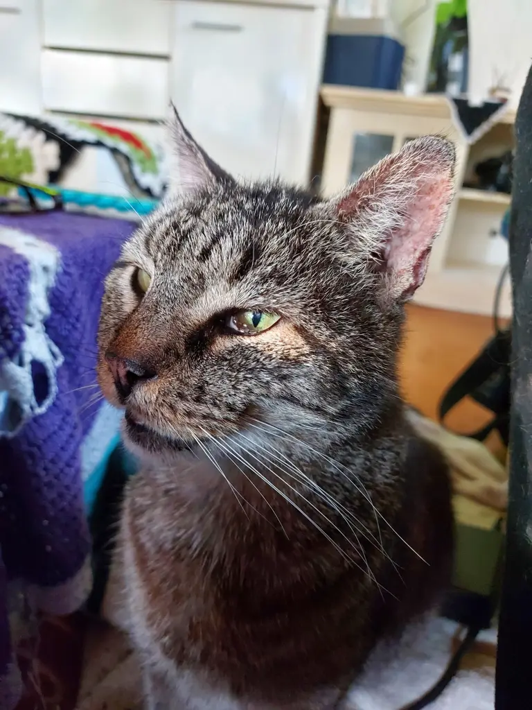 Condolence image of Pete