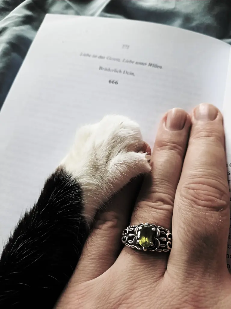 Image from LUDOVICO BASTET DONATIEN "Ludi"