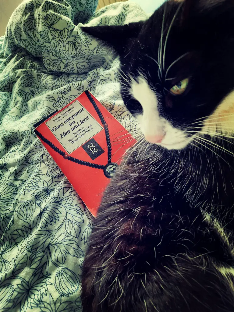 Image from LUDOVICO BASTET DONATIEN "Ludi"