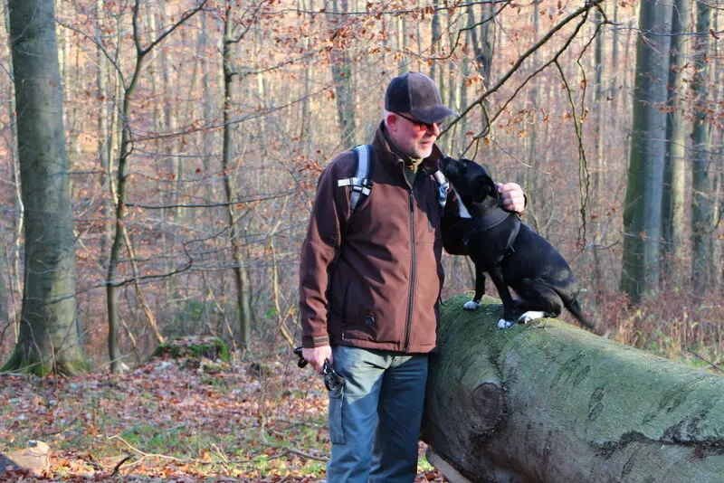 Image from Lucky