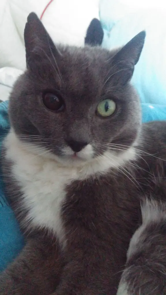 Image from ♡ Sammy ♡