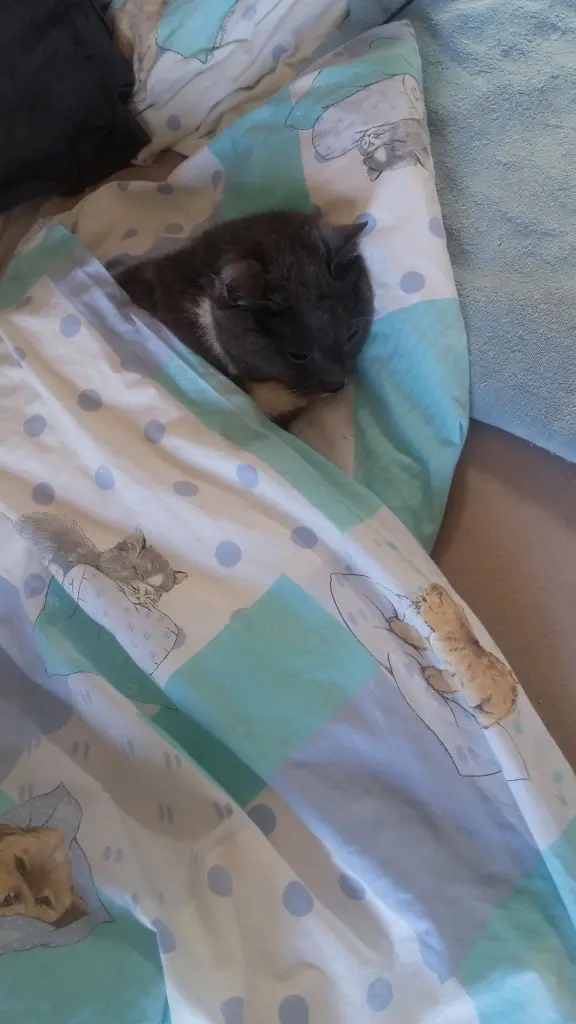 Image from ♡ Sammy ♡