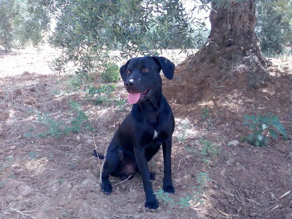 Image from Nero