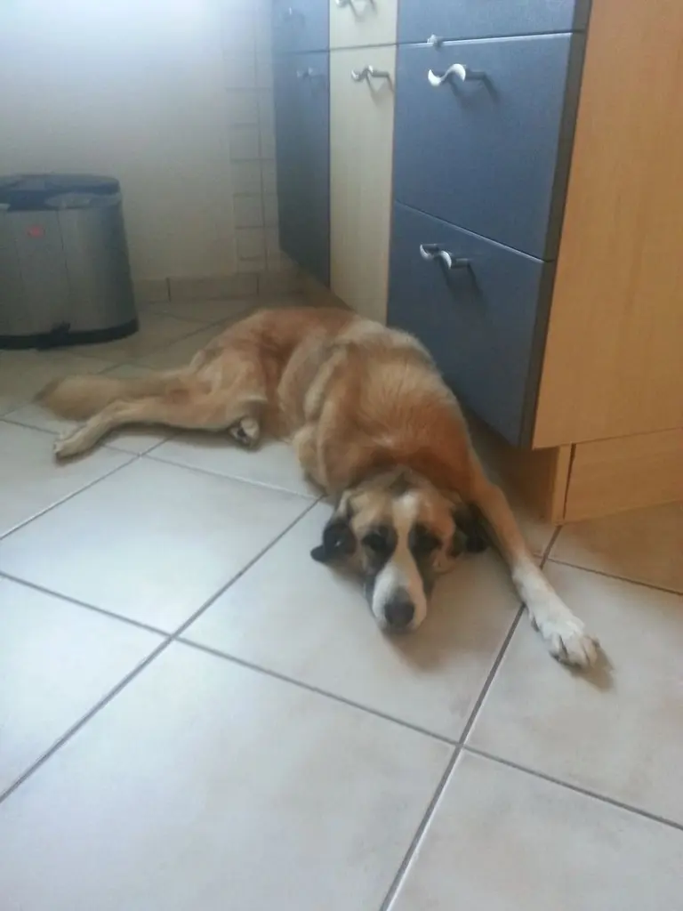 Condolence image of Linnea