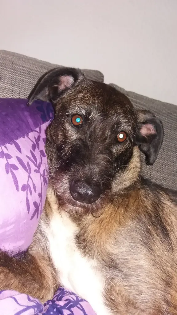 Image from Emma