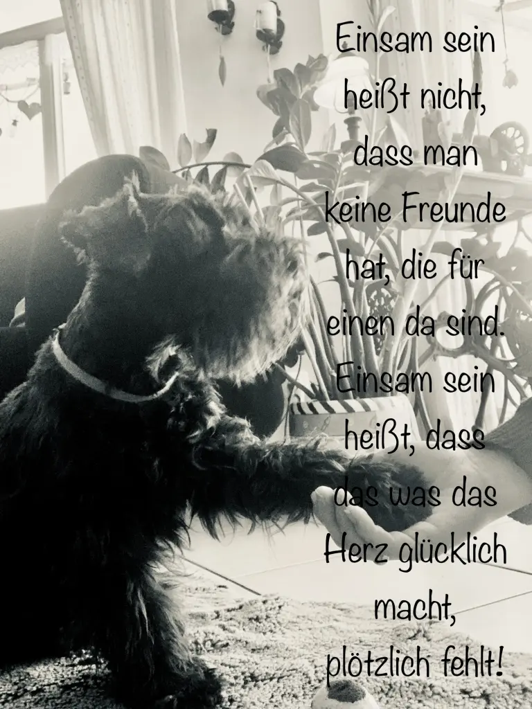 Condolence image of Maike