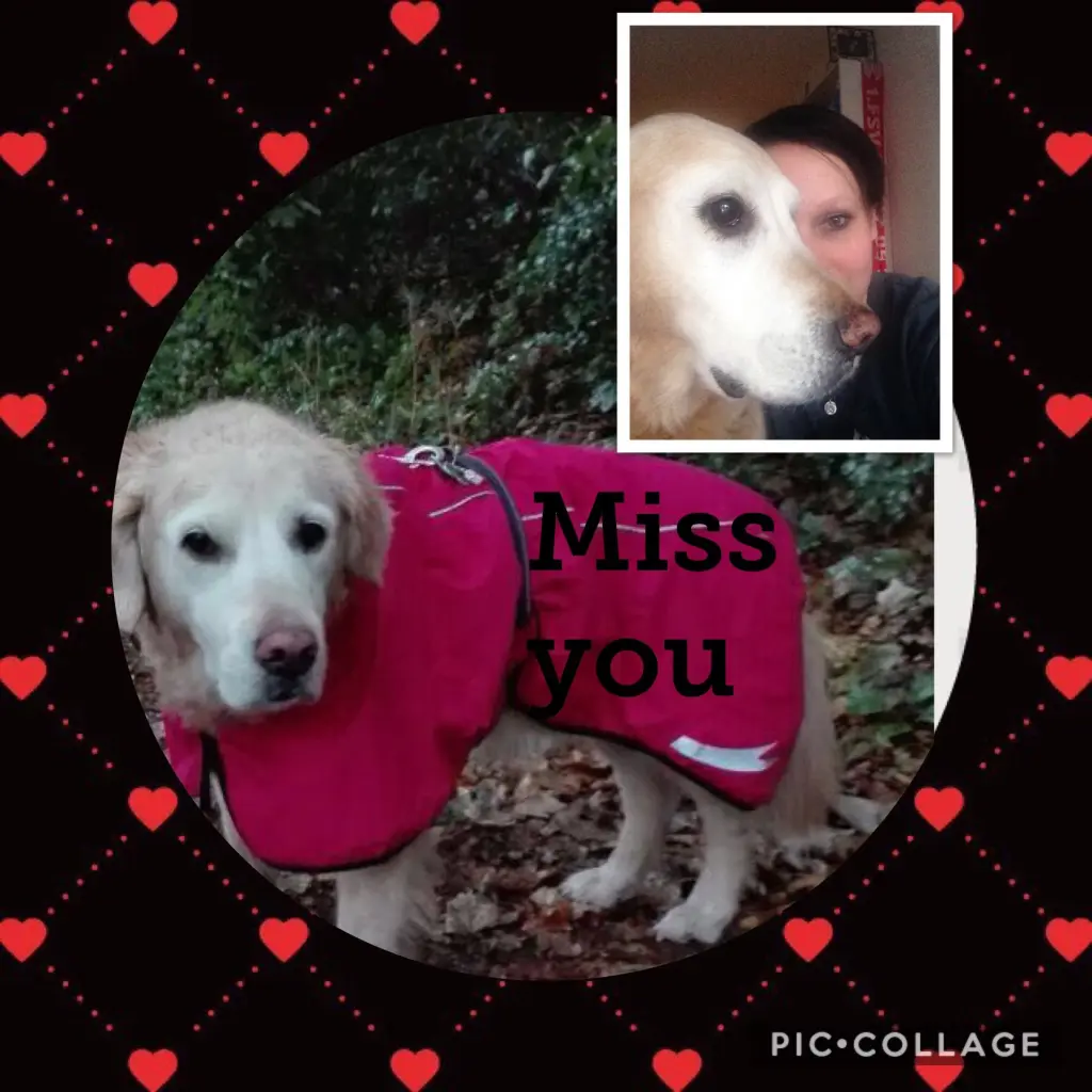 Condolence image of Mami&Meggie