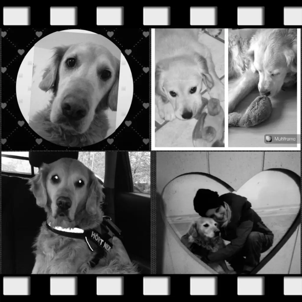 Condolence image of Mami&Meggie