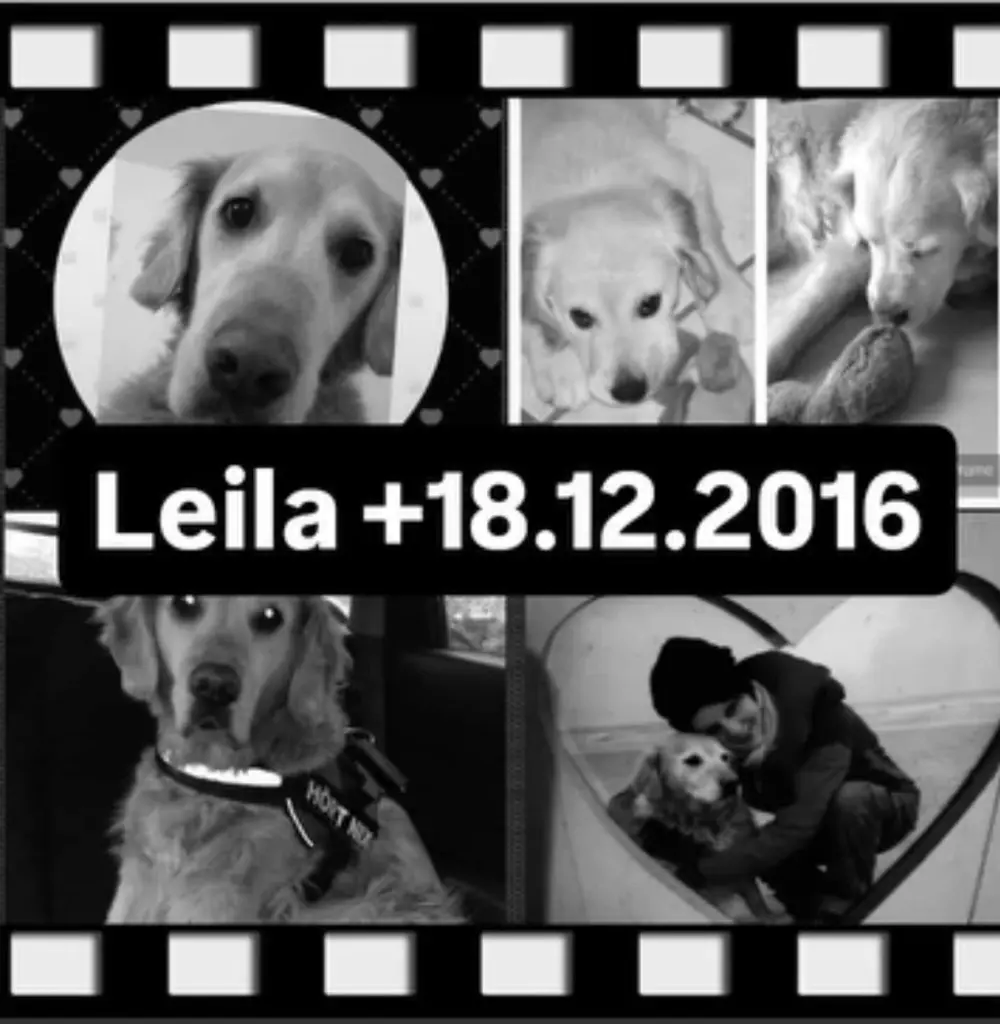 Condolence image of Mami mit Willow und Alfi