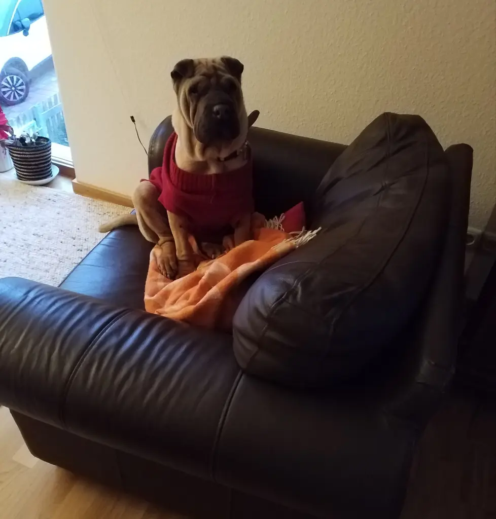 Andachtsbild von Anja