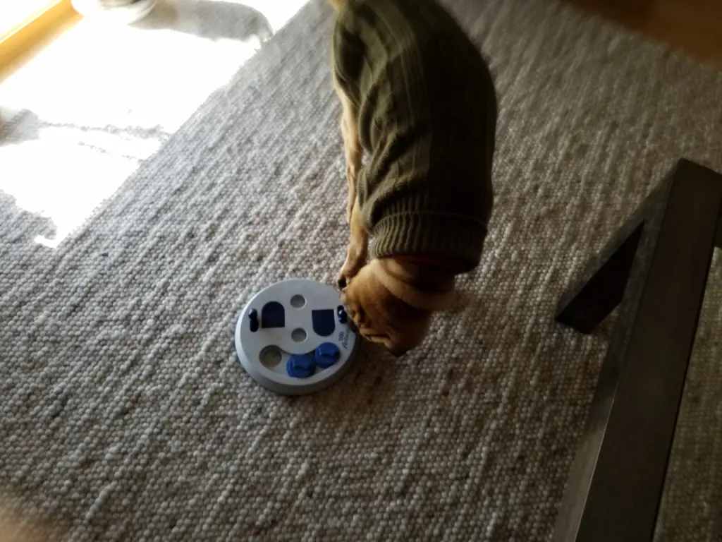 Andachtsbild von Anja