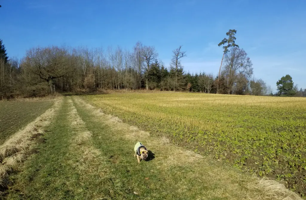 Andachtsbild von Anja