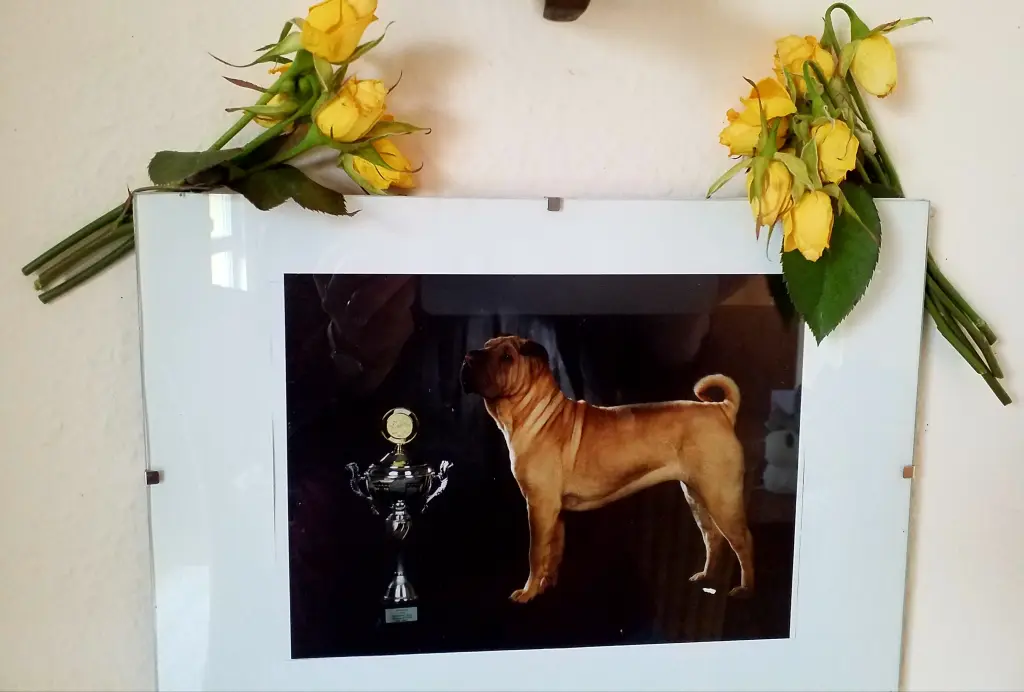 Andachtsbild von Anja mit Emma gest. 2.3. 2022