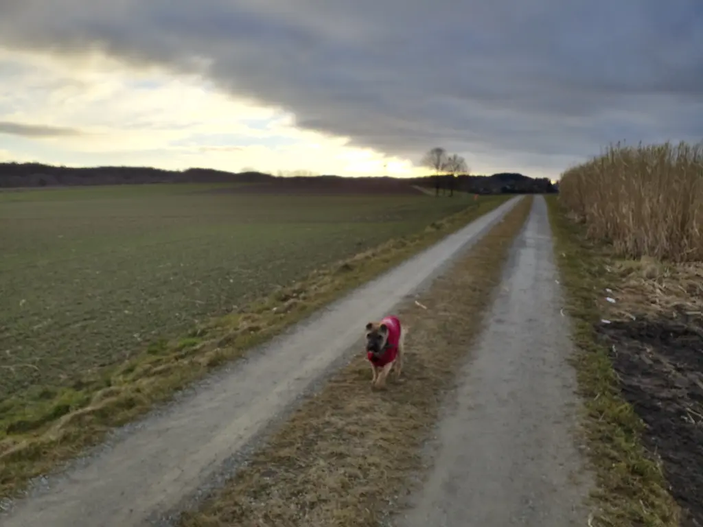 Andachtsbild von Anja