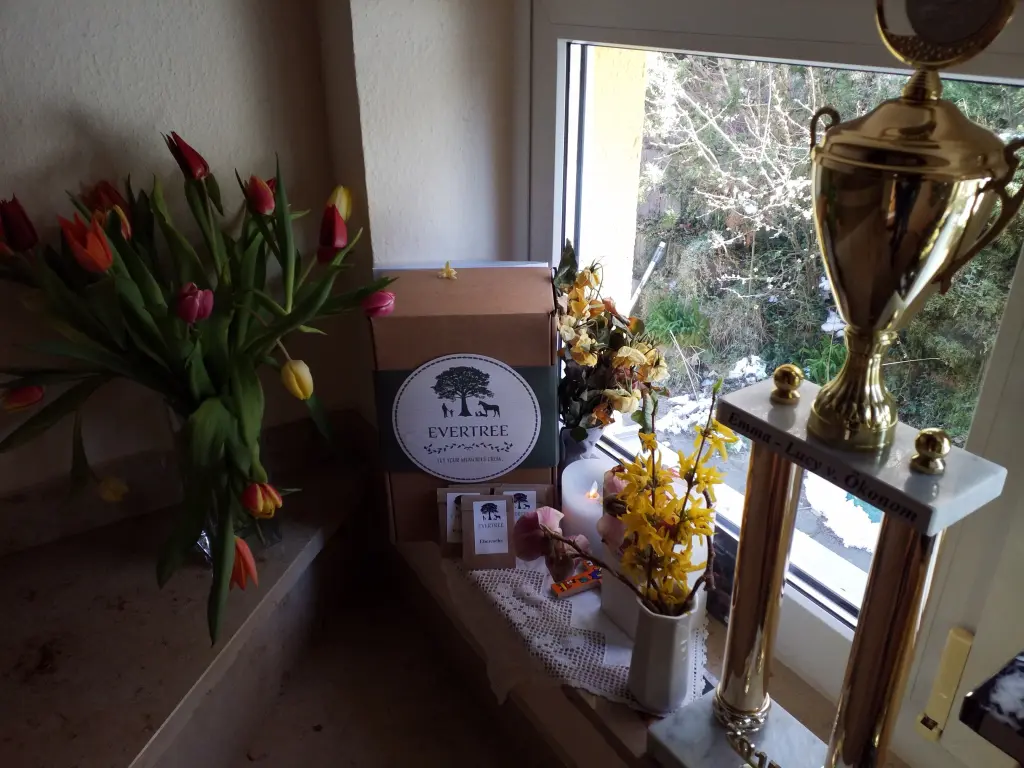 Andachtsbild von Anja