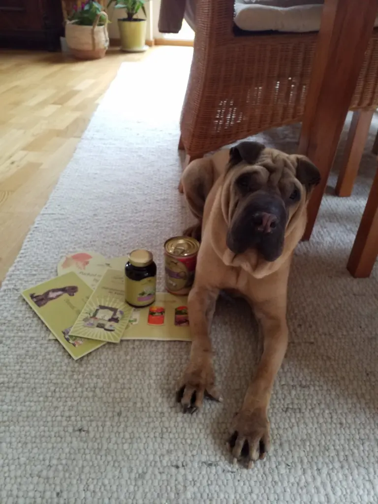 Andachtsbild von Anja