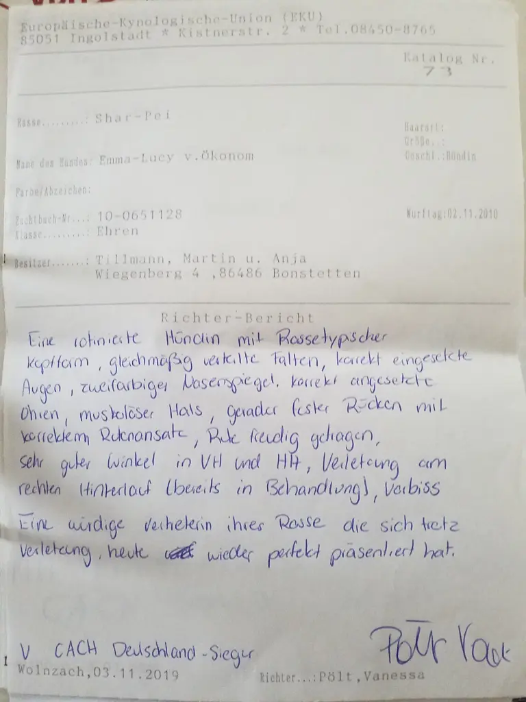 Andachtsbild von Anja