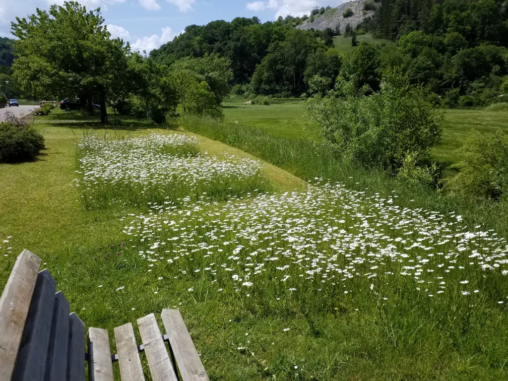 Andachtsbild von Anja