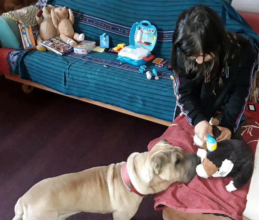 Andachtsbild von Anja