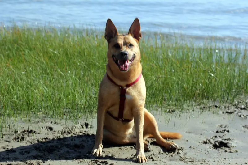 Condolence image of Walter