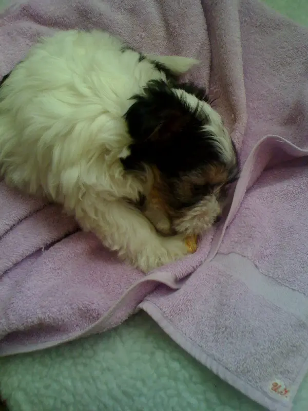 Image from BLINKIE