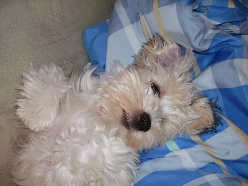 Image from BLINKIE