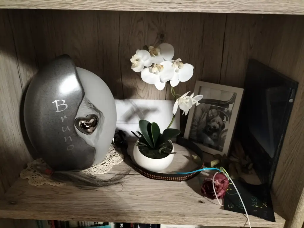 Andachtsbild von Dein