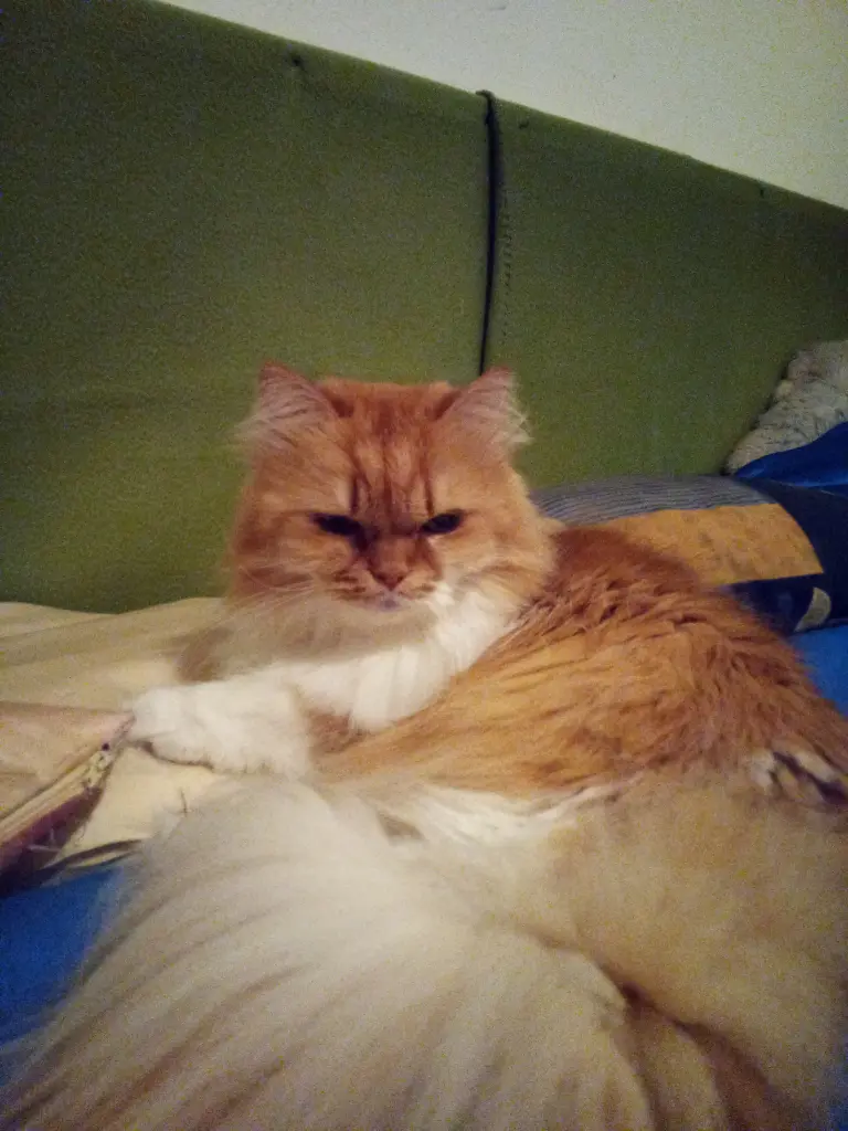Image from Sandy