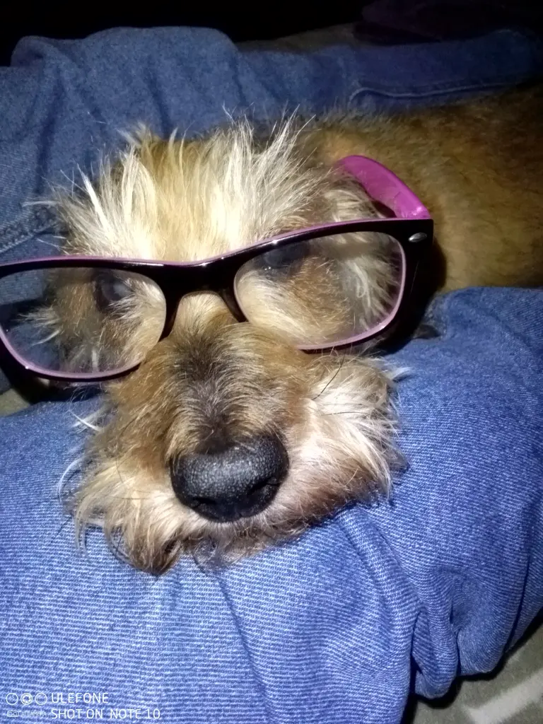 Image from Whisky