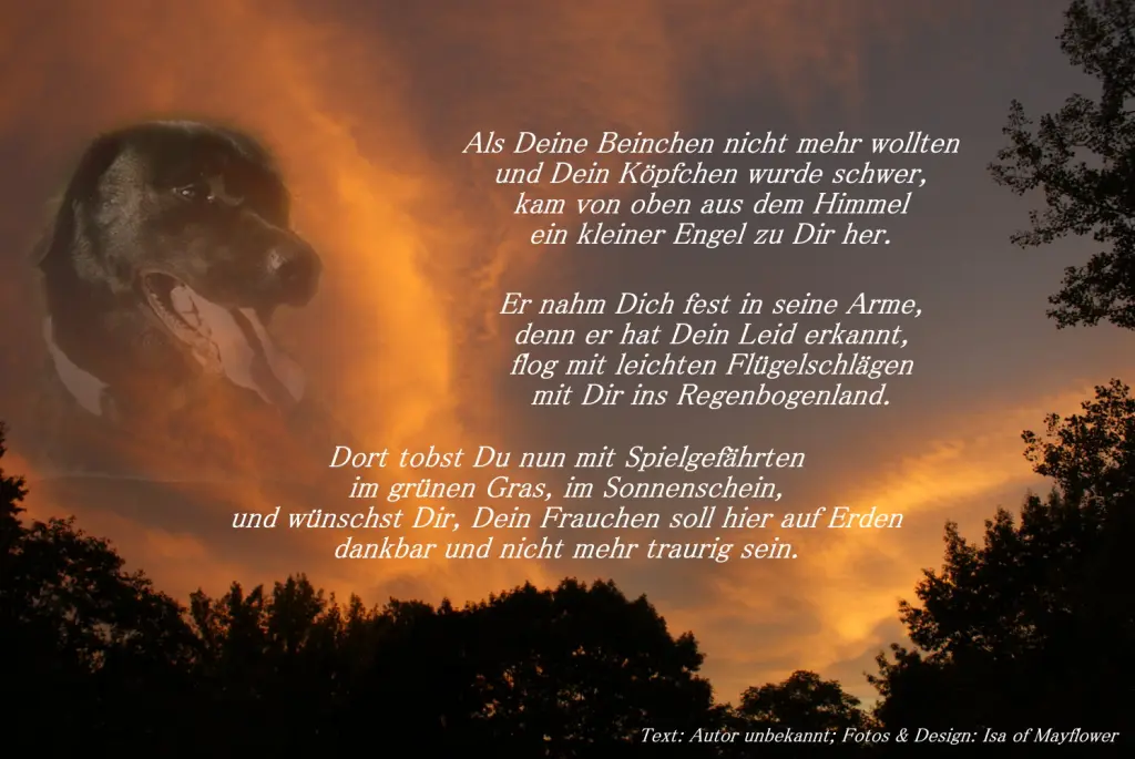 Andachtsbild von Gaby