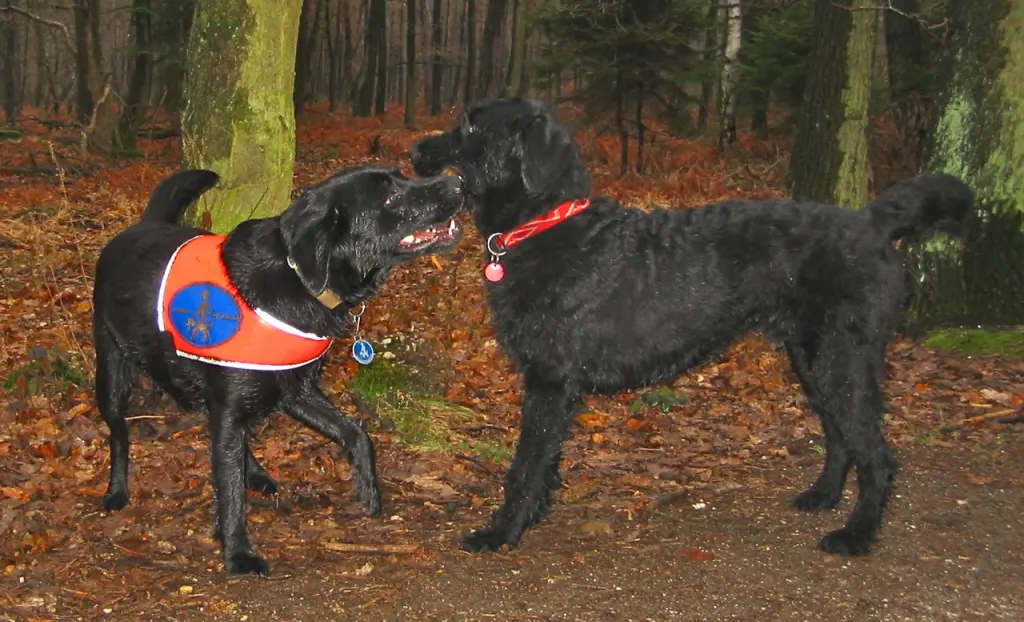 Andachtsbild von Ulrike und Enno