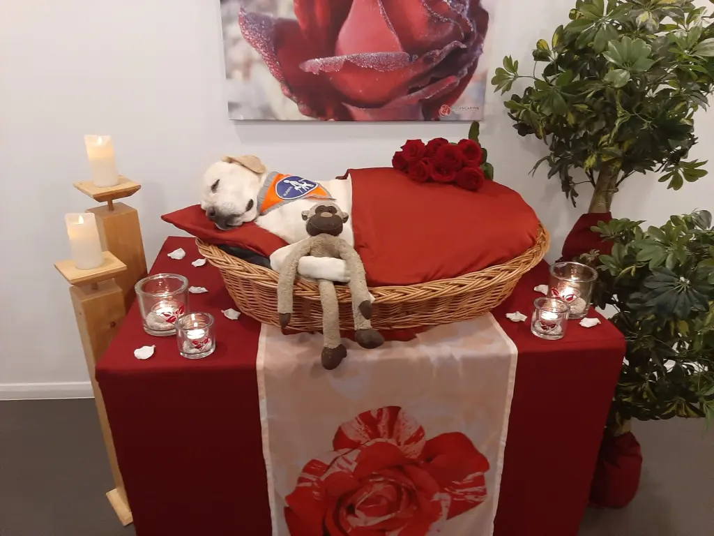 Andachtsbild von Sarah-Tatjana Werner