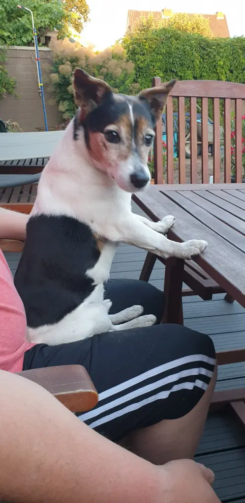 Bild von Monty