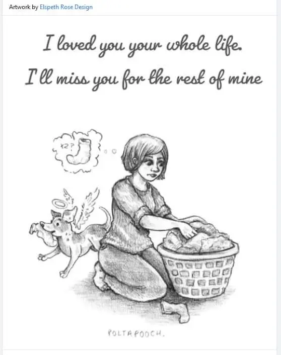 Condolence image of Silke