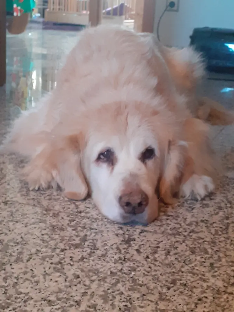 Condolence image of Silke