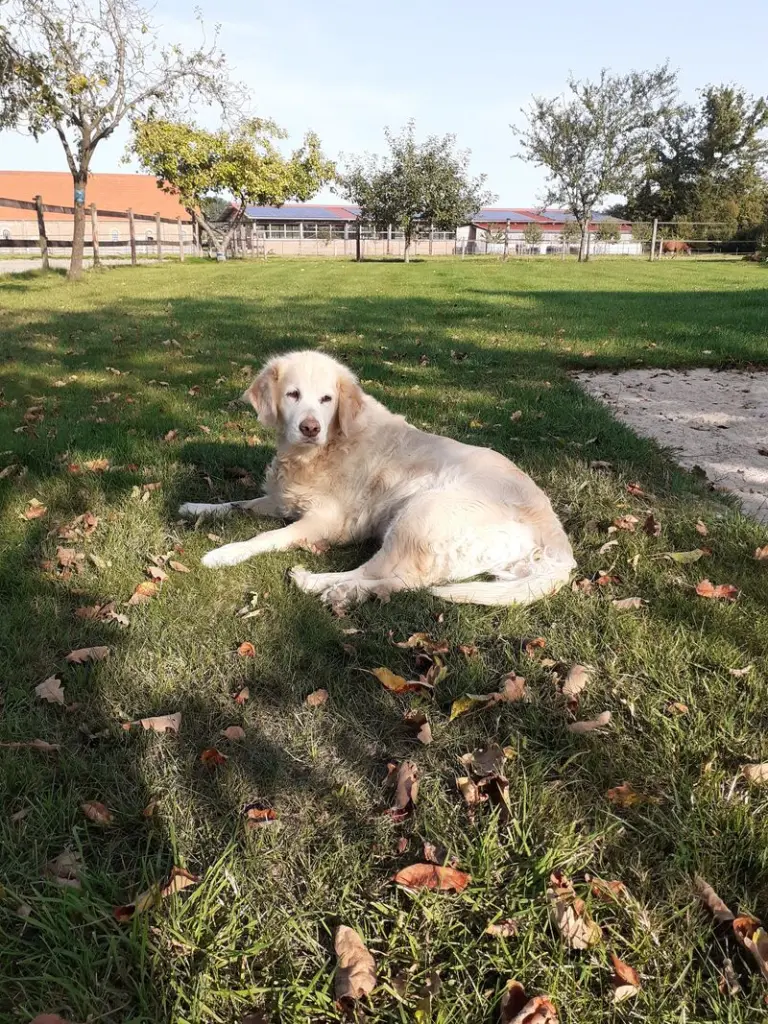 Condolence image of Silke