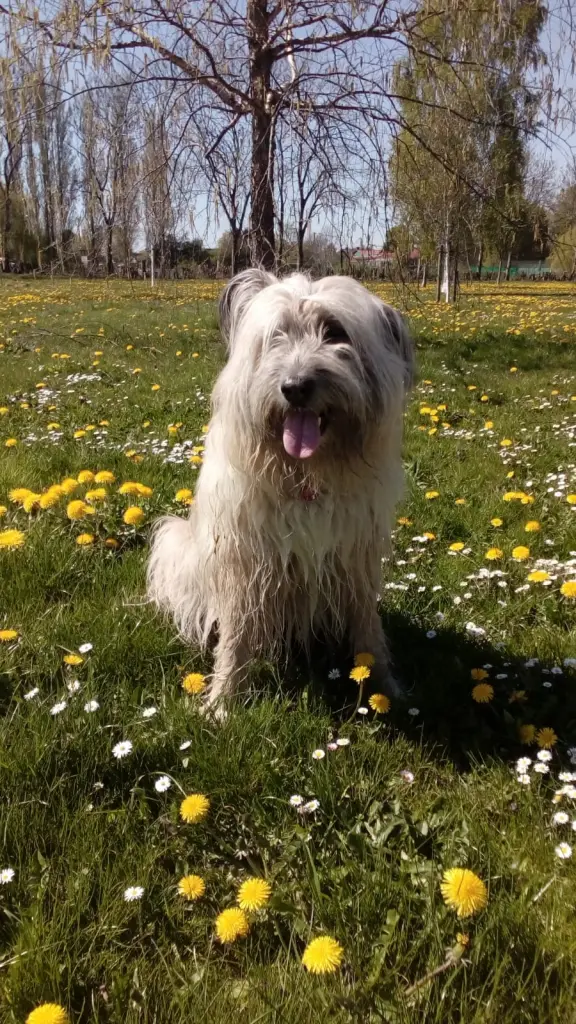 Andachtsbild von Maike