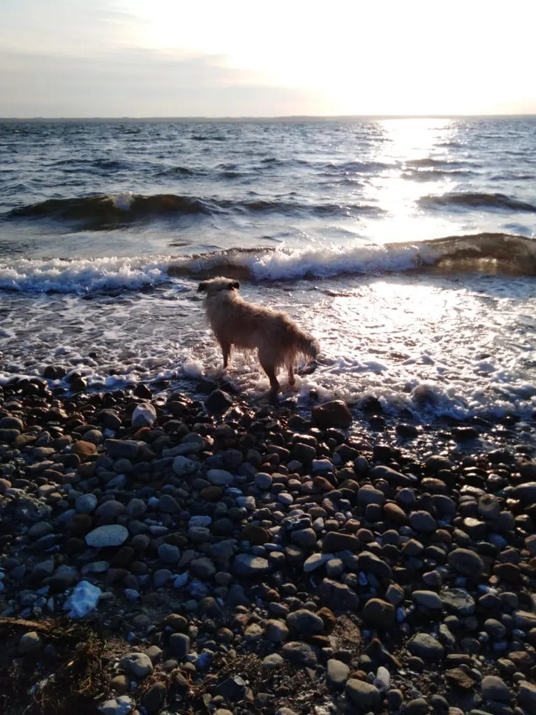 Andachtsbild von Maike