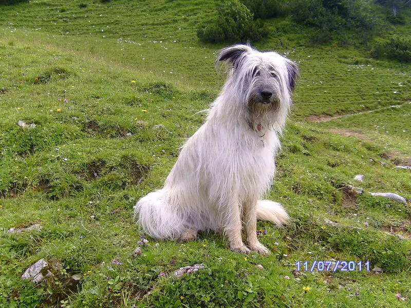 Andachtsbild von Maike