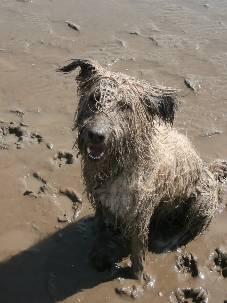 Andachtsbild von Maike