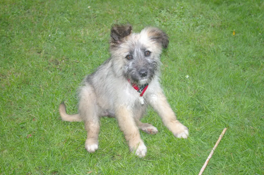 Bild von Celine (Line)