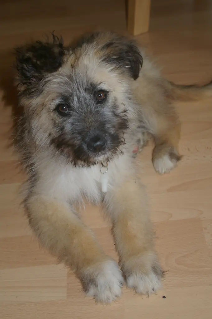 Bild von Celine (Line)