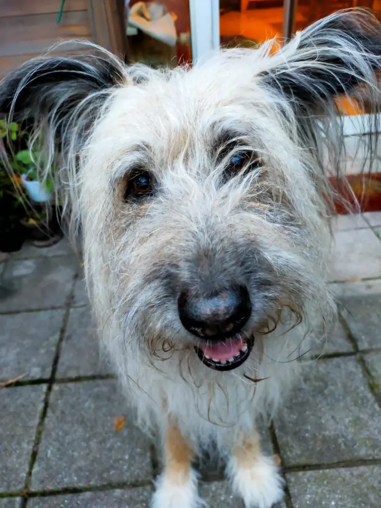 Bild von Celine (Line)